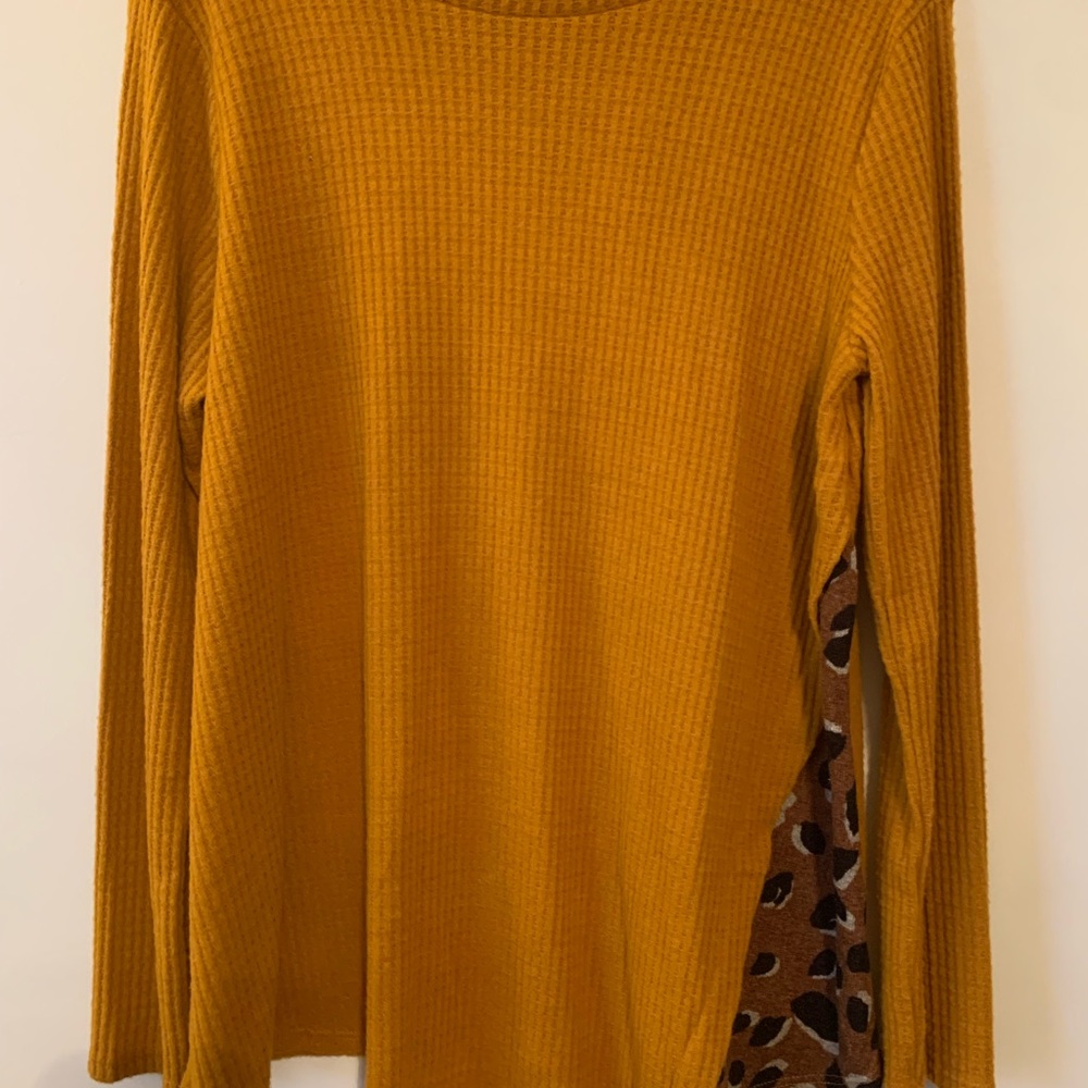 Chic Burnt Orange Long Sleeve Top with Leopard Print